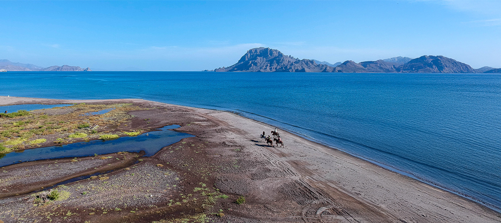 Horseback Adventure