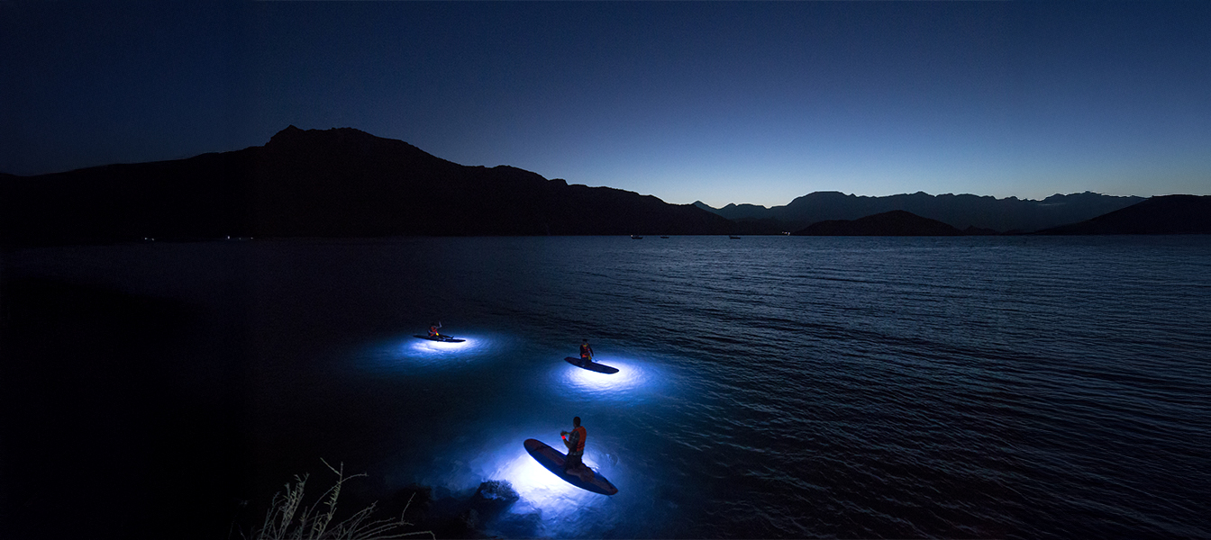 Twilight LED Paddle Board