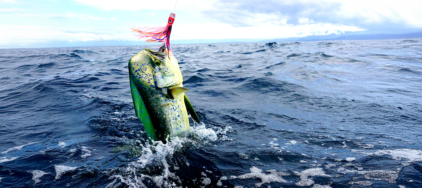 Fishing Loreto Style